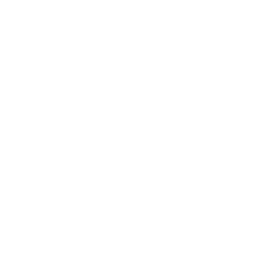 Vehicle Loans
