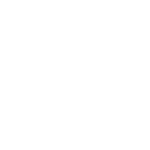 Auto Repossessions