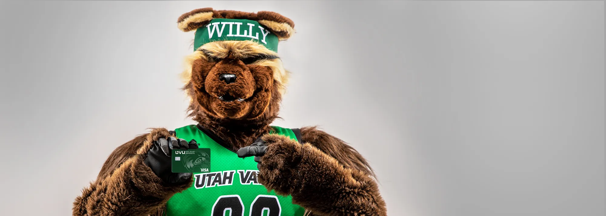 Wolverine Visa Credit Cards