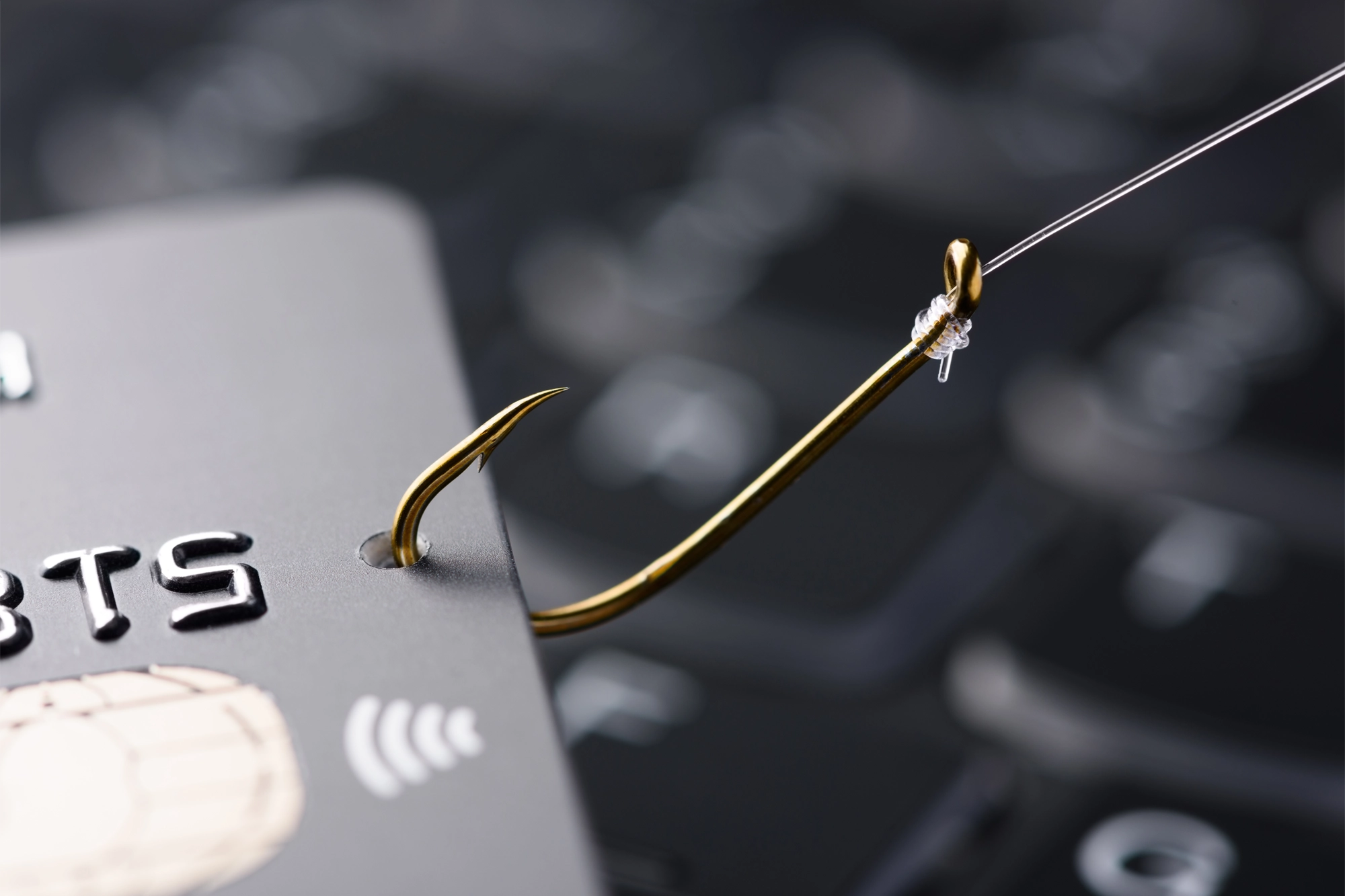 2024 Phishing Awareness Tips Uccu